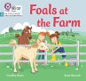 Foals at the Farm - Bild 1