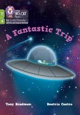 A Fantastic Trip