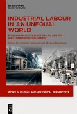 Industrial Labour in an Unequal World (eBook, ePUB)
