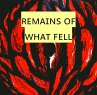 Remains of What Fell (eBook, ePUB) - Bild 1