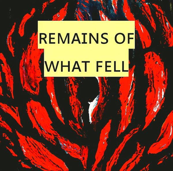 Remains of What Fell (eBook, ePUB)