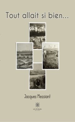 Tout allait si bien... (eBook, ePUB) - Messiant, Jacques