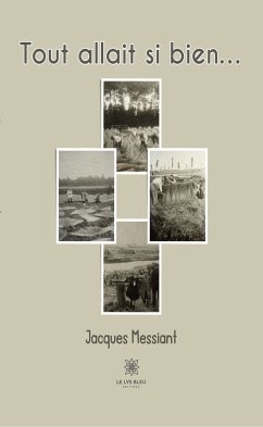 Tout allait si bien… (eBook, ePUB) - Messiant, Jacques