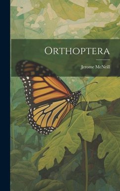 Orthoptera - McNeil, Jerome