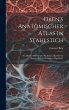 Oken's Anatomischer Atlas In Stahlstich - Bild 1