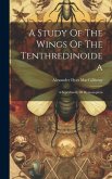 A Study Of The Wings Of The Tenthredinoidea: A Superfamily Of Hymenoptera