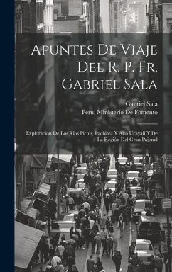 Apuntes De Viaje Del R. P. Fr. Gabriel Sala: Exploración De Los Rios Pichis, Pachitea Y Alto Ucayali Y De La Región Del Gran Pajonal - Sala, Gabriel