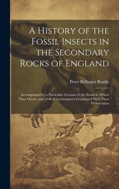 A History of the Fossil Insects in the Secondary Rocks of England: Accompanied by a Particular Account of the Strata in Which They Occur, and of the C - Brodie, Peter Bellinger