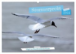 Sturmerprobt - Vögel an Nordfrieslands Küste (Wandkalender 2024 DIN A2 quer), CALVENDO Monatskalender - Braunleder, Gisela