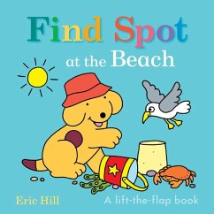 Find Spot at the Beach - Hill, Eric