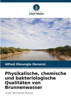 Physikalische, chemische und bakteriologische Qualitäten von Brunnenwasser - Denonsi, Alfred Okoungla
