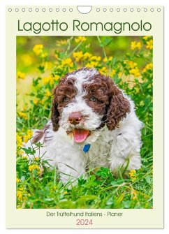 Lagotto Romagnolo - Der Trüffelhund Italiens - Planer (Wandkalender 2024 DIN A4 hoch), CALVENDO Monatskalender - Starick, Sigrid