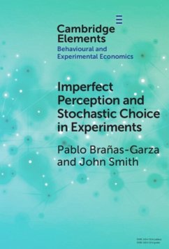 Imperfect Perception and Stochastic Choice in Experiments - Branas-Garza, Pablo (Universidad Loyola Andalucia); Smith, John Alan (Rutgers University, Camden)