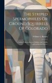 The Striped Spermophiles Or Ground Squirrels Of Colorado