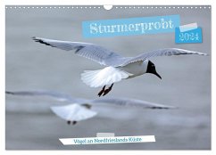 Sturmerprobt - Vögel an Nordfrieslands Küste (Wandkalender 2024 DIN A3 quer), CALVENDO Monatskalender - Braunleder, Gisela