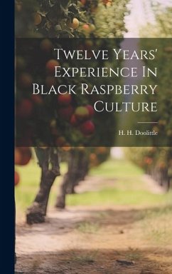 Twelve Years' Experience In Black Raspberry Culture - Doolittle, H. H.