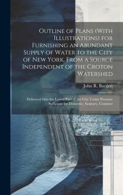 Outline of Plans (With Illustrations) for Furnishing an Abundant Supply of Water to the City of New York, From a Source Independent of the Croton Wate - Bartlett, John R.