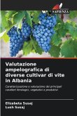 Valutazione ampelografica di diverse cultivar di vite in Albania