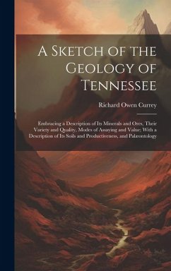 A Sketch of the Geology of Tennessee: Embracing a Description of Its Minerals and Ores, Their Variety and Quality, Modes of Assaying and Value; With a - Currey, Richard Owen