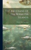 The Ascidians Of The Bermuda Islands