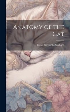 Anatomy of the Cat - Reighard, Jacob Ellsworth