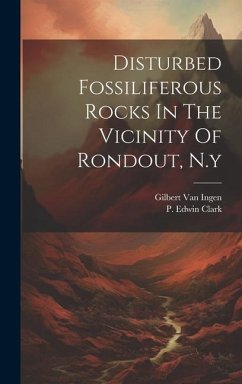 Disturbed Fossiliferous Rocks In The Vicinity Of Rondout, N.y - Ingen, Gilbert Van