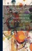 On The Anatomy Of The Crested Agouti (dasyprocta Cristata, Desm.)