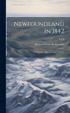 Newfoundland in 1842: A Sequel to &quote;The Canadas in 1841&quote;; Vol. I