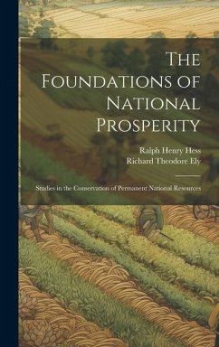 The Foundations of National Prosperity: Studies in the Conservation of Permanent National Resources - Ely, Richard Theodore; Hess, Ralph Henry