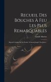 Recueil Des Bouches À Feu Les Plus Remarquables: Depuis L'origine De La Poudre À Canon Jusqu'à Nos Jours...