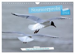 Sturmerprobt - Vögel an Nordfrieslands Küste (Wandkalender 2024 DIN A4 quer), CALVENDO Monatskalender - Braunleder, Gisela