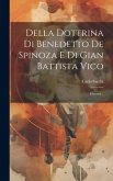 Della Dottrina Di Benedetto De Spinoza E Di Gian Battista Vico: Discorsi...