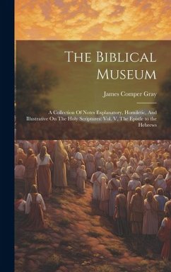 The Biblical Museum: A Collection Of Notes Explanatory, Homiletic, And Illustrative On The Holy Scriptures: Vol. V, The Epistle to the Hebr - Gray, James Comper