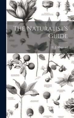 The Naturalist's Guide - Maynard, C. J.