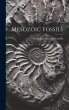 Mesozoic Fossils - Bild 1
