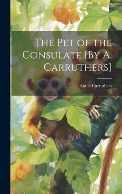 The Pet of the Consulate [By A. Carruthers] - Carruthers, Annie