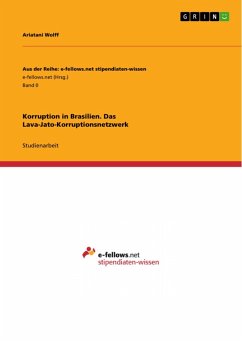 Korruption in Brasilien. Das Lava-Jato-Korruptionsnetzwerk (eBook, PDF)