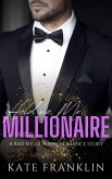 Hold me, Mr. Millionaire (eBook, ePUB)