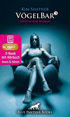 VögelBar 3   Erotik Audio Story   Erotisches Hörbuch (eBook, ePUB) - Shatner, Kim