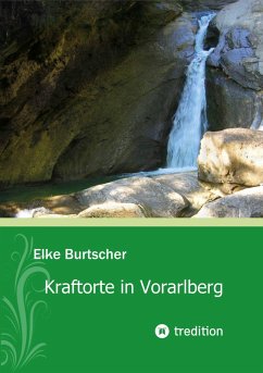 Cover Kraftorte in Vorarlberg (eBook, ePUB)