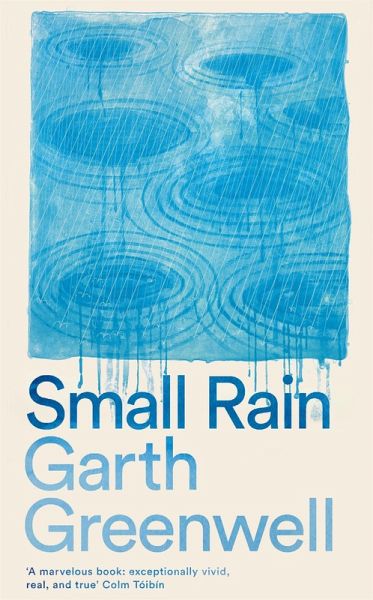 Small Rain (eBook, ePUB)