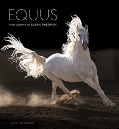 Equus - Pomegranate