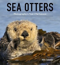 Sea Otters - Pomegranate