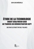 Etude de la technologie Smart Grid / Micro Grid au travers du Démonstrateur GEPY (eBook, ePUB)