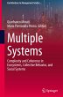 Multiple Systems - Bild 1