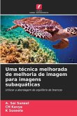 Uma técnica melhorada de melhoria de imagem para imagens subaquáticas
