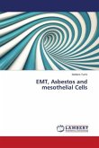 EMT, Asbestos and mesothelial Cells