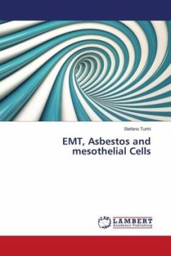 EMT, Asbestos and mesothelial Cells - Turini, Stefano