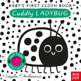 Baby's First Cloth Book: Cuddly Ladybug