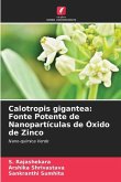 Calotropis gigantea: Fonte Potente de Nanopartículas de Óxido de Zinco